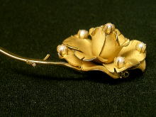 �u���[�`,�o��,�S�[���h