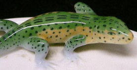 �A�N�Z�T���[,�s���f�B�b�V��,�~�j�g���[,���C�����R�y���n�[�Q��,�A�[���k�[�{�[