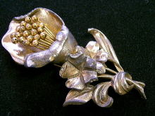 �A�N�Z�T���[,�u���[�`,�R�X�`���[��,�X�g�[��,�W���R�j�A