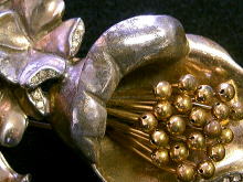 �A�N�Z�T���[,�u���[�`,�R�X�`���[��,�X�g�[��