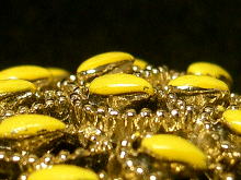 �u���[�`,���[�t