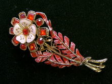 �A�N�Z�T���[,�u���[�`,�R�X�`���[���W���G���[,���C���X�g�[��