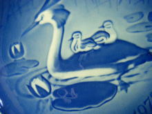 "�k���E�X�J���W�i�r�A��,�f���}�[�N,���C�����R�y���n�[�Q��,�a���f��