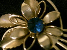 �u���[�`,��,���[�t,�A�[���f�R,�A�����J��