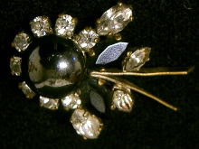 �u���[�`,��,�A�[���f�R,�A�����J��,�I�j�L�X