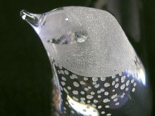 �k���E�X�J���W�i�r�A��,�X�G�[�f��,�R�X�^�{�_,�j�n�r�s�`�E�a�n�c�`