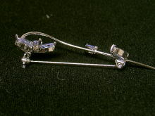 �u���[�`,��,�A�[���f�R,�A�����J��