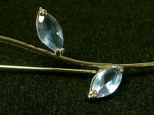 �u���[�`,��