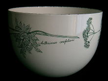 �k��,�X�J���W�i�r�A��,�`�q�`�a�h�`,�e�h�m�d�k,�J�C�t�����N