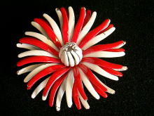 �A�N�Z�T���[,�u���[�`,�A�����J,��,�G�i����