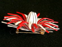 �A�N�Z�T���[,�u���[�`,�A�����J,��