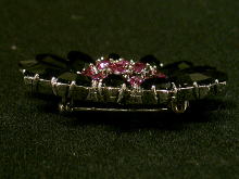 �A�N�Z�T���[,�u���[�`,�A�����J��,WEISS