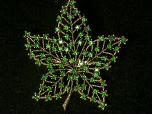 �u���[�`,���C�X,�v�d�h�r�r,�R�X�`���[���W���G���[,���[�t,�A�����J��