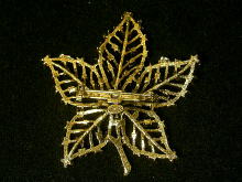 �u���[�`,���C�X,�v�d�h�r�r