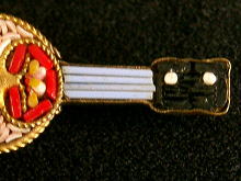 �A�N�Z�T���[,�u���[�`