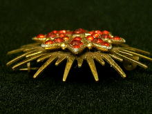 �A�N�Z�T���[,�u���[�`,���r�[���b�h,�t�����[