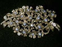 �u���[�`,���C�X,�v�d�h�r�r,�R�X�`���[���W���G���[,�t�����[,�A�����J��