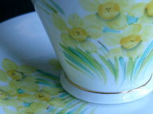 �C�M���X,�J�b�v���\�[�T�[