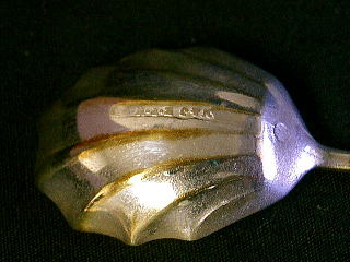 �X�v�[���E�V�F��