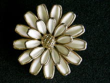 �A�N�Z�T���[,�u���[�`,�g���t�@��,�s�q�h�e�`�q�h,�G�i����,��