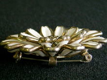 �A�N�Z�T���[,�u���[�`,�g���t�@��