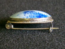 �A�N�Z�T���[,�u���[�`,����