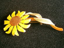 �A�N�Z�T���[,�u���[�`,�A�����J��,�G�i����,��