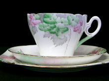 �V�F���[,�J�b�v���\�[�T�[�E�g���I,SHELLEY