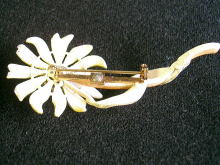 �u���[�`,�A�����J��