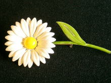 �A�N�Z�T���[,�u���[�`,�A�����J��,�G�i����,��