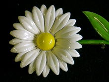 �A�N�Z�T���[,�u���[�`,�A�����J��,�G�i����