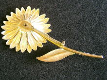 �A�N�Z�T���[,�u���[�`