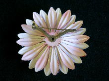 �A�N�Z�T���[,�u���[�`