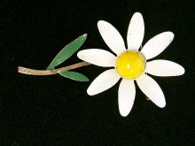 �A�N�Z�T���[,�u���[�`,�ԕ�,�G�i����,���g��