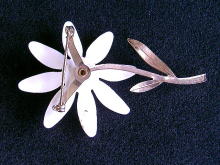 �A�N�Z�T���[,�u���[�`,�ԕ�,�G�i����