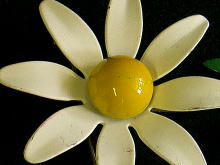 �A�N�Z�T���[,�u���[�`,�ԕ�