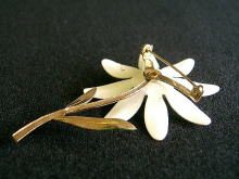 �u���[�`,�ԕ�,�G�i����,���g��