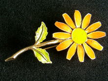 �A�N�Z�T���[,�u���[�`,�m�x�b,�G�i����,��