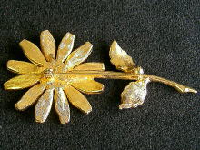 �A�N�Z�T���[,�u���[�`,�m�x�b,�G�i����