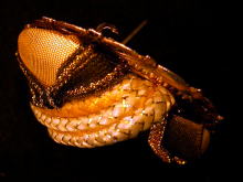 �u���[�`,�A�����J��,�t���b�p�[�K�[��