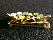 �A�N�Z�T���[,�u���[�`