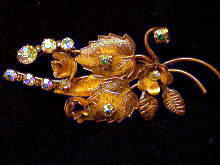 �A�N�Z�T���[,�u���[�`,�A�����J��,���[�t���t�����[,�R�X�`���[���W���G���[