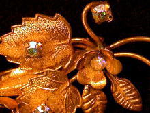 ,�u���[�`,�A�����J��,���[�t���t�����[