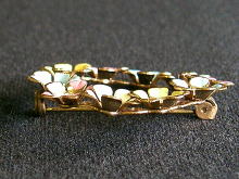 �A�N�Z�T���[,�u���[�`,�G�i����