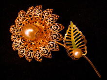 �A�N�Z�T���[,�u���[�`,�A�����J��,�S�[���h�t�����[,�R�X�`���[���W���G���[