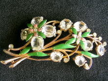 �A�N�Z�T���[,�u���[�`,�I�[�X�g���A,��,�G�i����