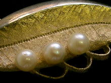 �A�N�Z�T���[,�u���[�`,�R�X�`���[���W���G���[,�S�[���h���p�[��