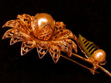 �A�N�Z�T���[,�u���[�`,�A�����J��,�S�[���h�t�����[