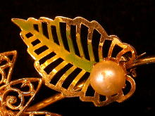 �A�N�Z�T���[,�u���[�`,�A�����J��,�S�[���h