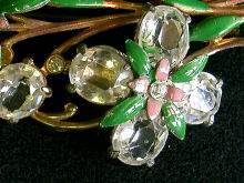 �A�N�Z�T���[,�u���[�`,�I�[�X�g���A,��